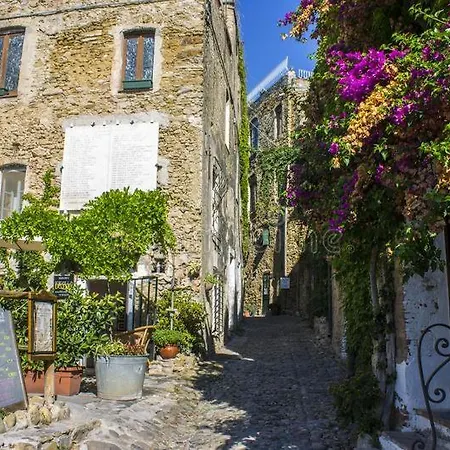 Albero Maestro On Bussana Seaside
