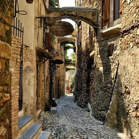 Albero Maestro On Bussana Seaside San Remo